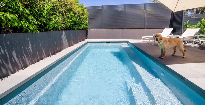 Explore Top-notch Pool Chlorinators for Crystal Clear Water in Brisbane, Logan, and Gold Coast High-Quality Pool Chlorinators for Clean Water in Brisbane, Logan, and Gold Coast